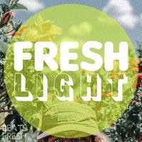 Fresh Light album cover