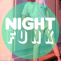 Night Funk album cover