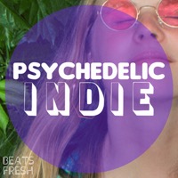 Psychedelic Indie album cover