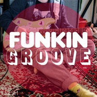 Funkin Groove album cover