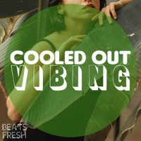 Cooled Out Vibing album cover