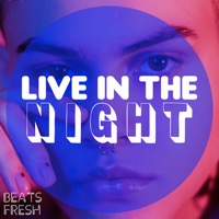 Flashing Nights album cover