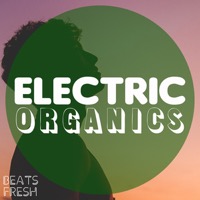 Electric Organics album cover