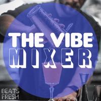 The Vibe Mixer album cover