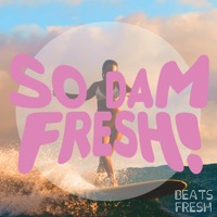 So Dam Fresh album cover