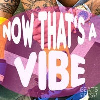 Now That's a Vibe album cover