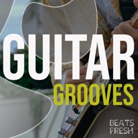Guitar Grooves album cover