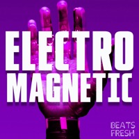 Electro Magnetic album cover