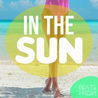 In The Sun album cover
