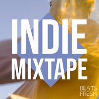 Indie Mixtape album cover