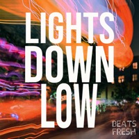 Lights Down Low album cover