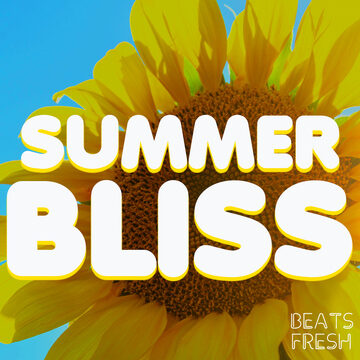 Summer Bliss album cover