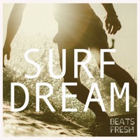Surf Dream album cover