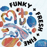 Funky Fresh Fine album cover