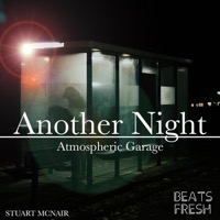 Another Night album cover