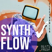 Synth Flow album cover