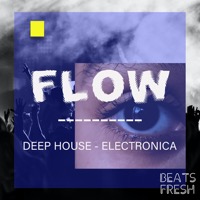 Flow album cover