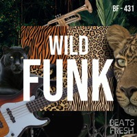 Wild Funk album cover