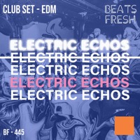 Electric Echos album cover