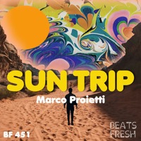 Sun Trip album cover