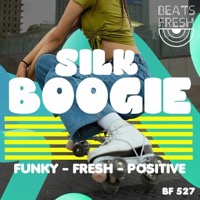 Silk Boogie album cover