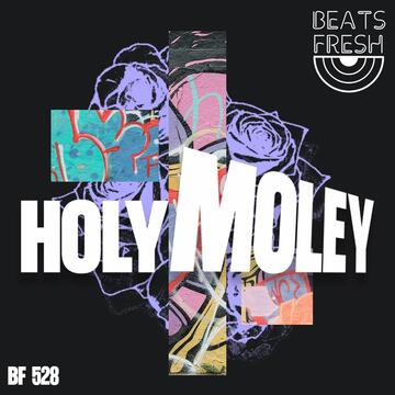Holy Moley album cover