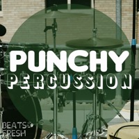 PUNCHY PERCUSSION album cover