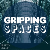 GRIPPING SPACES album cover