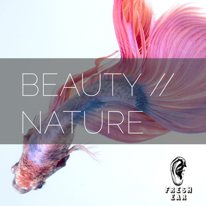 Beauty Nature album cover