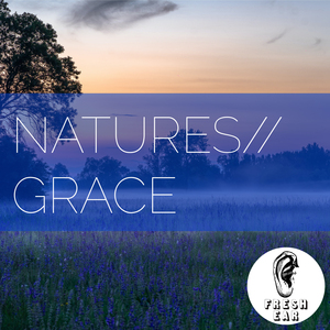 Natures Grace album cover