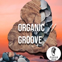 Organic Groove album cover