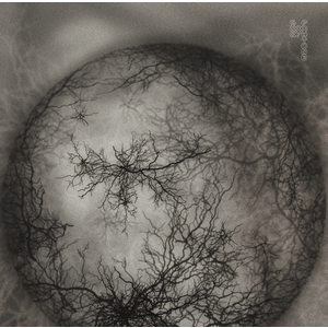 Fullmani album cover