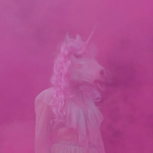 Unicorn album cover