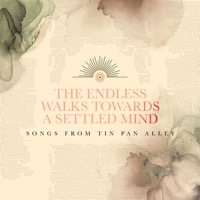 The Endless Walks Towards a Settled Mind album cover