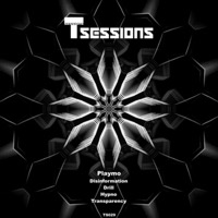 T Sessions 29 album cover