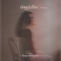 Doeggfallin - Remix album cover