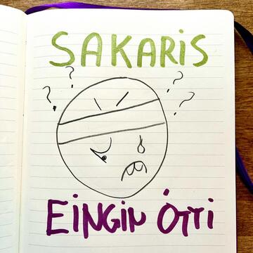 Eingin Otti album cover