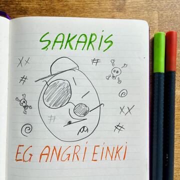 Eg Angri Einki album cover